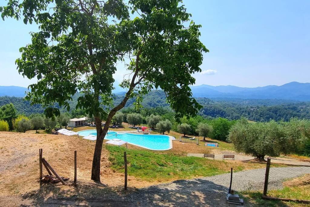 Appartamento La Mimosa Monti di Licciana Nardi Bagian luar foto